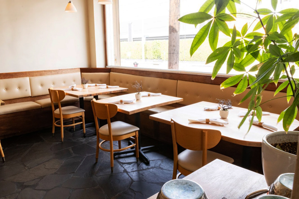 Interior seating area near the big window with plants